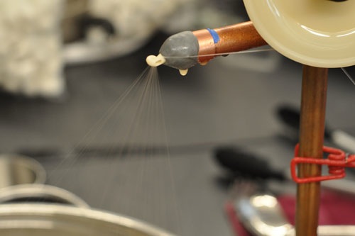 Strands of silk going into the croissure